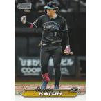 TOPPS 2024 NPB スタジアム