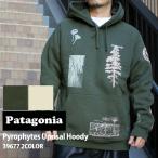 新品 パタゴニア Patagonia Pyrophytes Uprisal Hoody パイロファイツ アップライザル フーディー 39677 211000854045 SWT/HOODY
