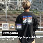 新品 パタゴニア Patagonia M's L/S Line Logo Ridge Responsibili Tee ライン ロゴ リッジ レスポンシビリ 長袖Tシャツ 38517 202001163551 TOPS