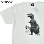 新品 ステューシー STUSSY BIG & MEATY PIG. DYED TEE Tシャツ スケート ストリート エイトボール ストックロゴ 200009546056 半袖Tシャツ