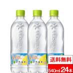 全国配送対応 送料無料 1ケース コカ・コーラ いろはす 塩とれもん 540ml 24本 レモン 瀬戸内産れもんエキス 熱中症対策 irohasu coca コカコーラ