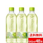 全国配送対応 送料無料 コカ・コーラ いろはす い・ろ・は・す シャインマスカット 540ml PET 24本 2箱 （計48本）天然水 リサイクル ペットボトル エコ ilohas