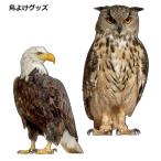  птица .. товары сова ястреб ........ веранда птица fn меры товары 