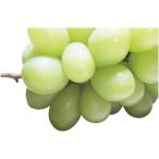 [ подарок по случаю конца года подарок 2025] Daiwa .. автомобиль in мускат 