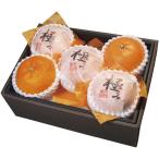 【お歳暮ギフト 2025】 ダイワ果園 愛媛県産 紅まどんな