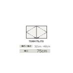*klinap[TSWH75JTS] wall шкаф BTS серии промежуток .75cm(GB)