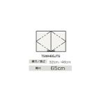 *klinap[TSWH65JTS] стиральная машина для шкаф wall BTS серии промежуток .65cm(GB)