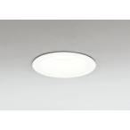 βo-telik/ODELIC [OD361614R] автобус внутренний свет . type защита от дождя *.. type высота . цвет LED температура белый цвет не style свет LED в одном корпусе "теплый" белый цвет 