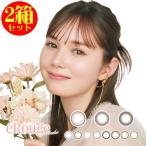 カラコン 2箱セット エルージュ 2ウィーク eRouge 2week 1箱6枚 度あり 度なし ナチュラル カラーコンタクト