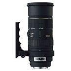 シグマ 50-500mm F4-6.3APO EX DG HSM ニコン