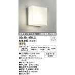 ∬∬βオーデリック/ODELIC【OG254979LC】エクステリア ポーチライト 別売センサー対応 LED電球フラット形 電球色 化粧ネジ式 防雨型