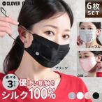 即納 国内発送 マスク 6枚 洗える シルク 100 プリーツ 肌荒れ 夏 立体 素材 女性 外出用 涼しい シルク100% シルクマスク 100% おすすめ フェイスマスク