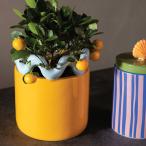 &Klevering(アンドクレベリン) スウェイポット オレンジ 6号