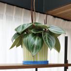 &Klevering(アンドクレベリン) レイポット グリーン Φ16.5