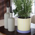 &Klevering(アンドクレベリン) レイポット イエロー Φ13.5