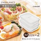 2個セット エンバランス 容器 味噌 効果 野菜保存容器 コンテナ 食品保存容器