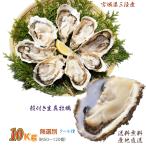 .. Miyagi префектура три суша *. олень половина остров производство . имеется сырая устрица нет выбор другой 10kg / коробка прямая поставка от производителя бесплатная доставка 