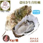 .. Miyagi префектура три суша *. олень половина остров производство . имеется сырая устрица M размер 4kg / коробка прямая поставка от производителя бесплатная доставка 