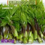  дикоросы скорейший предварительный заказ Miyagi префектура внутри перо гора . производство натуральный дикоросы дикоросы. женщина ......200g природа. .. ограниченная продажа бесплатная доставка 