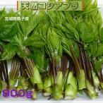  дикоросы скорейший предварительный заказ Miyagi префектура внутри перо гора . производство натуральный дикоросы дикоросы. женщина ......800g природа. .. ограниченная продажа бесплатная доставка 