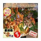 きのこ 予約販売　天然山菜 山形県産天然キノコ  混ざり塩蔵３ｋｇ 自然の恵み 送料無料