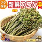  предварительный заказ распродажа натуральный дикоросы .. вытащенный .../5Kg природа. .. Yamagata префектура .. блок производство бесплатная доставка 