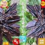 海産物 ホタルイカ姿干 12ｇ/１０袋 