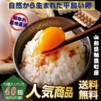 平飼い卵 山形県飯豊町産 ４０個 １０個入/パック ４パック 産地直送 送料無料