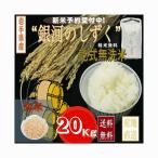 五つ星お米マイスターも絶賛！　米 早期予約販売 令和７年産 米 お米 20kg 銀河のしずく 玄米 20kg 岩手県産 乾式無洗米 精米 送料無料 当日精米