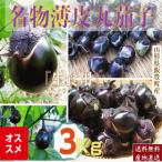 野菜　山形県飯豊町産 名物薄皮丸茄子：生：３Kg /袋 産地直送 送料無料