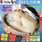 牡蠣 宮城県三陸・牡鹿半島産 殻付き生牡蠣 業務用 Lサイズ 10kg /箱 産地直送 送料無料