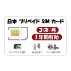 日本 プリペイドSIM 3GB/月1年間有効 Docomo回線 4G-LTE対応 データ通信専用SIMカード 3GB