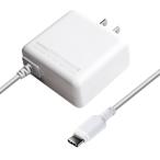  Kashimura AC зарядное устройство AC typeC 3A 1m WH AC-005