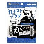 そうじの神様(R) カッチコチブラシ 生活雑貨用 日本製  KBセーレン