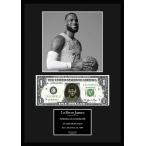 人気バスケットボール選手/NBA/レイカ