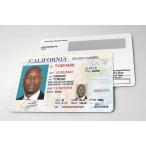 映画 俳優　歌手【 Tyrese Gibson / タイリース・ギブソン 】ワイルドスピード シリーズ /IDカード/レプリカ/コレクション-1