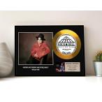 �}�C�P���E�W���N�\�� / Michael Jackson / HIStory / �q�X�g���[ / gold disc album / �� �S�[���h �f�B�X�N �ؖ����t �]9