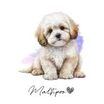  открытка [ Maltipoo / maru Pooh ] иллюстрации искусство акварельная живопись способ пастель цвет открытка -1