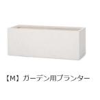 �����ǥ��ѥץ�󥿡� M | ȭ �ץ�󥿡� ����ȭ �ǥ����ץ쥤 ����ƥꥢ �����ǥ˥� �����ǥ󻨲� �ݥå� ���꡼�� ȭ���� ������� �ץ��