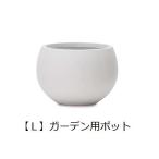 �����ǥ��ѥݥå� L | ȭ �ץ�󥿡� ����ȭ �ǥ����ץ쥤 ����ƥꥢ �����ǥ˥� �����ǥ󻨲� �ݥå� ���꡼�� ȭ���� ������� �١����å�