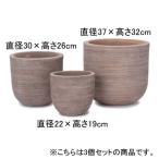 3�ĥ��å� �ƥ饳�å� �饦��� �ץ�󥿡� | �ץ�󥿡� ����ȭ ȭ ȭ���С� ȭ���� ����ץ� ����󥬡��ǥ� �����ǥ˥� �� �ץ��ĥ��㥶