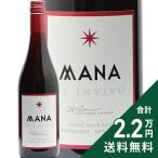  красный вино manabai in vi -vo Pinot nowa-ru2023