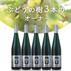 【予約商品】ぶどうの樹3本のオーナー 2025年に実るブドウでできるリースリングのやや甘口ワインが、2026年7月ごろ届きます 送料無料《締切り12月末まで延長！》
