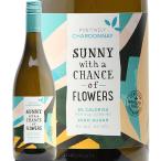  белый вино Sunny vi za Chance ob цветок z автомобиль rudone2024