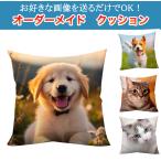 ペット 写真プリント クッション 抱き枕 犬 猫 背もたれ グッズ 可愛い 柔らかい 写真入り 両面プリント ぬいぐるみ 昼寝枕 座布団 快眠グッズ 癒し オリジナル