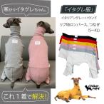 ショッピングロンパース イタグレ服 リブ地 ロンパース ウィペット服 ベドリントンテリア服 イタグレ服 doggystar ドッギースター 犬服 犬 服