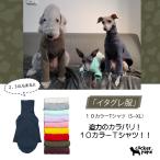 イタグレ 服 10カラーＴシャツ イタリアン グレーハウンド ウィペット ウィペット服 ベドリントンテリア イタグレ服 doggy star ドッギースター