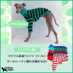 イタグレ 服 カラフル 長袖 ボーダー tシャツ 小型 犬 中型 犬 春 夏 秋 冬 doggystar 韓国 室内着 パジャマ