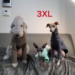 ウィペット服春夏秋冬10カラーＴシ...