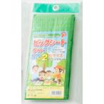 Yahoo! Yahoo!ショッピング(ヤフー ショッピング)ビッグシートライト 2畳 4901367041964 アサヒ興洋 レジャーシート シートピン付き レジャー アウトドア BBQ ピクニック 花見